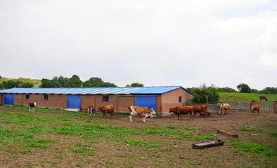 禁牧区牧民赞国策，生态与生计双赢的新篇章